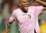 NEWS PALERMO, contro il Brescia confermata in avanti la coppia Hernandez-Maccarone