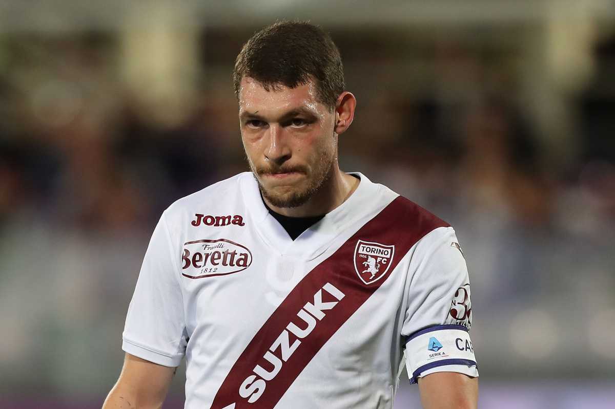 Belotti